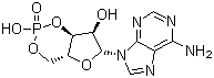 60-92-4 Adenosine Cyclophosphate