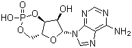60-92-4 adenosine cyclophosphate