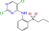 761440-16-8 2,5-dichloro-N-(2-(isopropylsulfonyl)phenyl)pyrimidin-4-amine