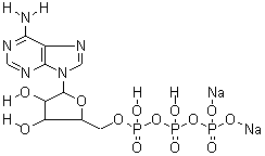 987-65-5;51963-61-2 Adenosine 5'-triphosphate, disodium salt