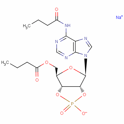 16980-89-5 N6-2'-O-Dibutyryl-adenosine 3',5'-cyclophosphate sodium salt monohydrate