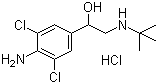 21898-19-1 clenbuterol hydrochloride