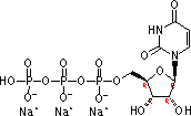 19817-92-6 Uridine-5'-triphosphoric acid trisodium salt