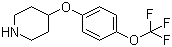 28033-37-6;287952-67-4 4-[4-(trifluoromethoxy)phenoxy]piperidine