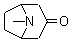 532-24-1 tropinone