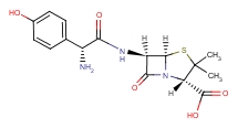 26787-78-0 Amoxicillin