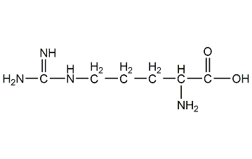 l-arginine structural formula