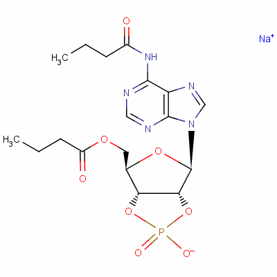 16980-89-5 n6-2'-o-dibutyryl-adenosine 3',5'-cyclophosphate sodium salt monohydrate