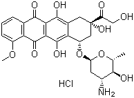 56390-09-1 epirubicin hcl
